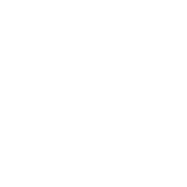 cropped-LG_Holzbau_Logo_ZW_weiss_512x512.png